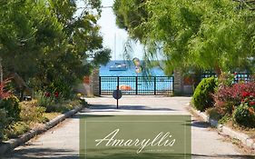 Amaryllis Summer Maisonettes